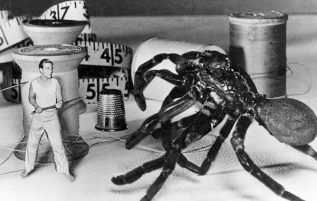 The Incredible Shrinking Man