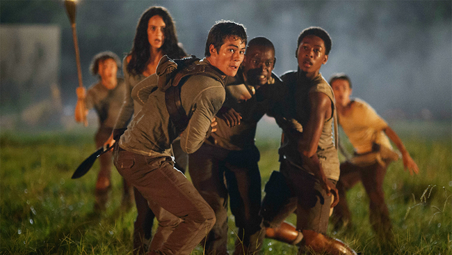 The Maze Runner