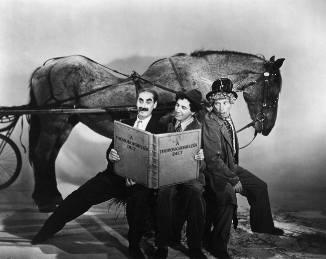 The Marx Brothers in A Day At The Races