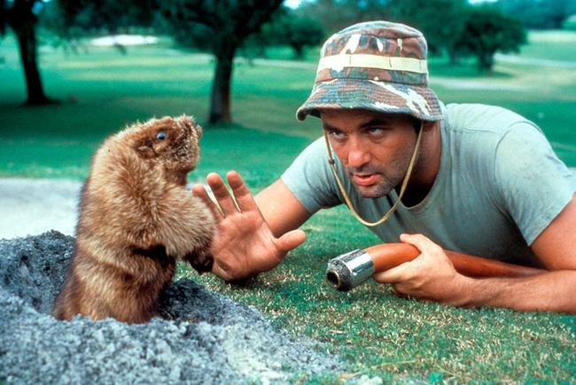 Bill Murray in Caddyshack