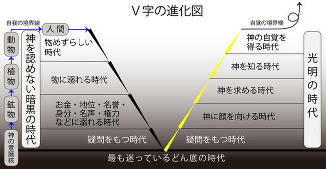 V字の進化図