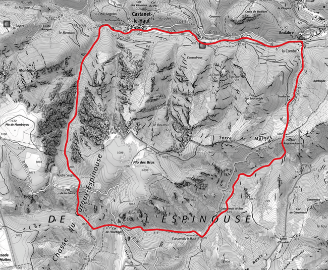 Le Plo des Brus
