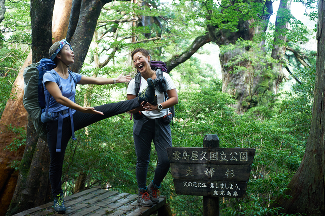 屋久島ガイド ,屋久島ツアー ,屋久島オンラインツアー,屋久島バーチャルガイド,リピーター.おすすめガイドの選び方,人気のガイドの選び方