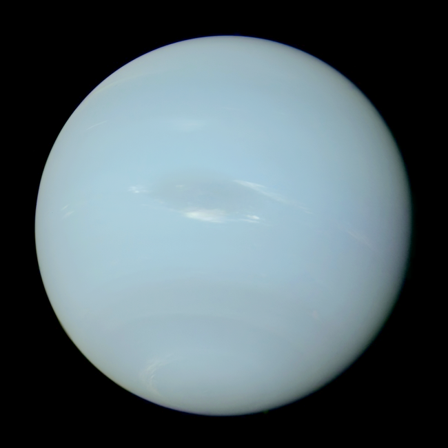 Neptunus