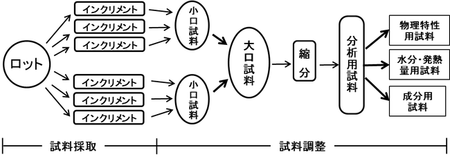 図１．試料採取および試料調整の概要