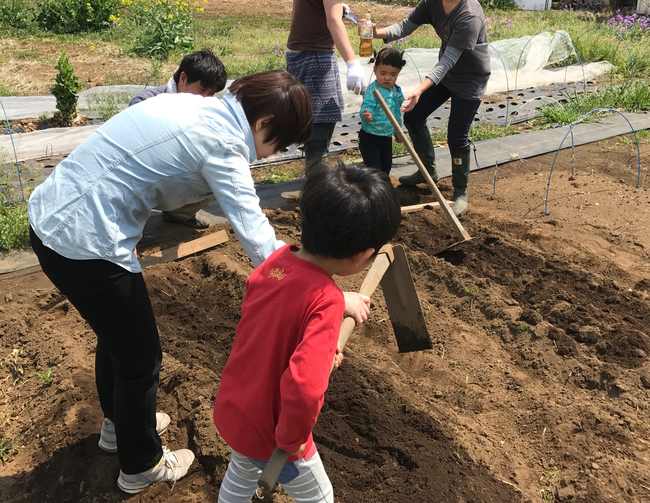 栽培体験と収穫体験。産地直食の昼食を。様々な農業体験が可能な観光農園。