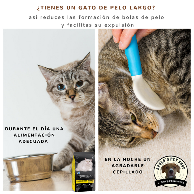 alimentación para prevenir la formación de pelos