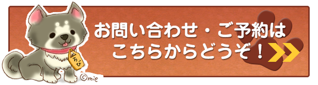 お問い合わせ・ご予約はこちらからどうぞ！