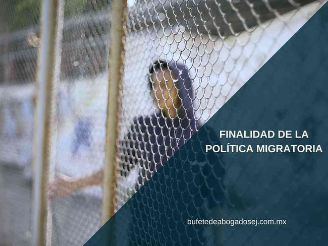 bufete de abogados - despacho de abogados - derecho migratorio