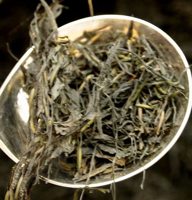 乾燥あかもく 昆布 海藻の小倉屋松柏 天然昆布にこだわる昆布専門店