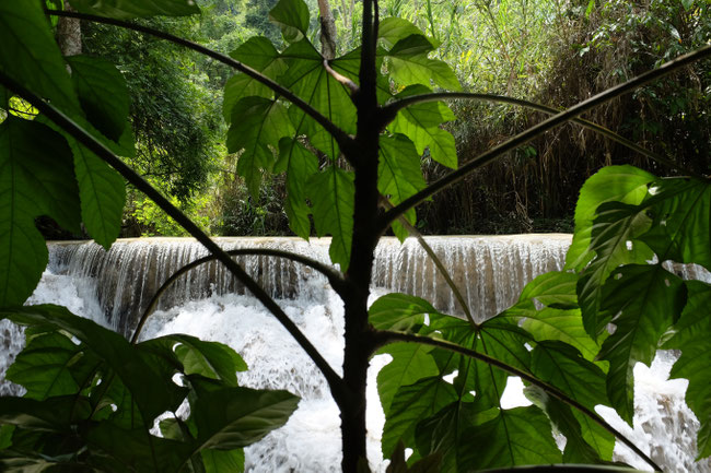 Nord Laos - Luang Prabang