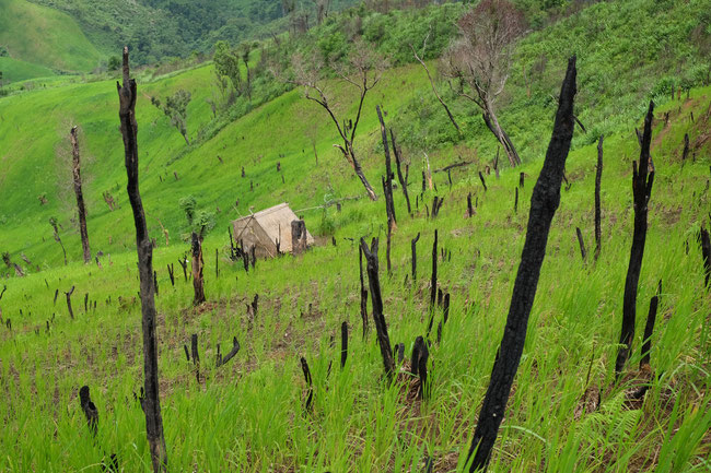 Sud Phongsaly - Paysages