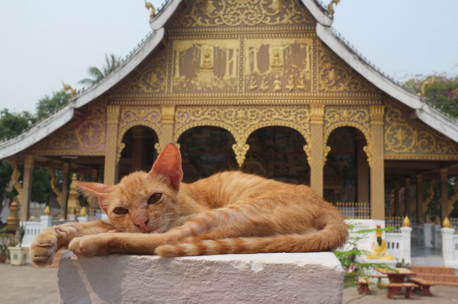 Nord Laos - Luang Prabang