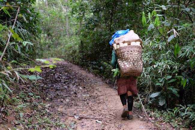 Sud Phongsaly - Reportage