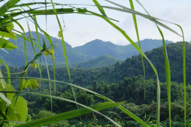 Sud Phongsaly - Paysages