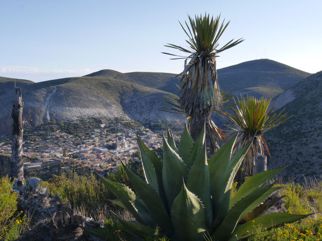 Real de Catorce from the distance 