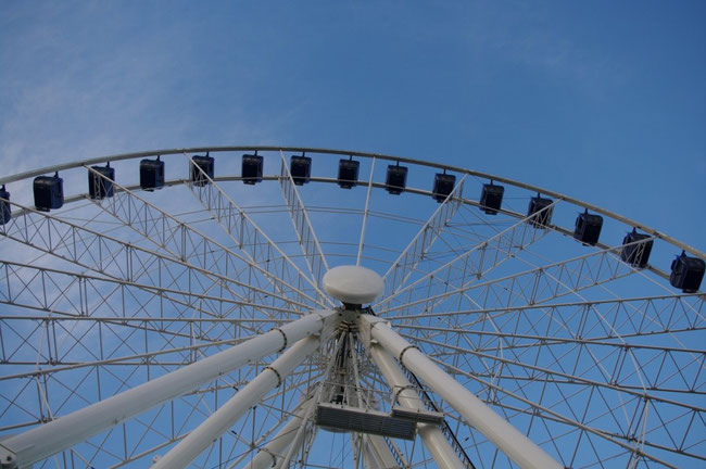 Wheels of Vision