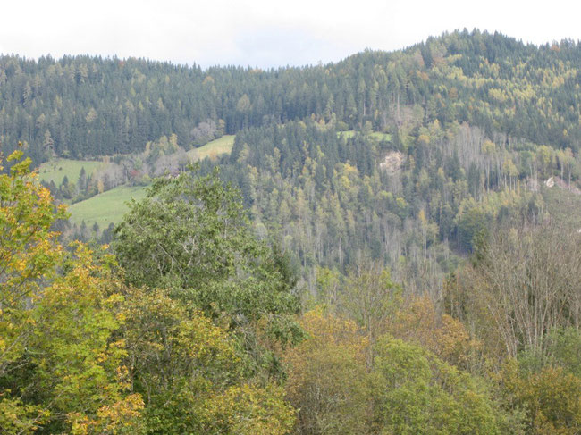 Europäische Erzählkultur Archetyp im Märchen Heiliger Berg