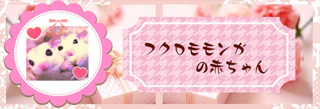 ときどきペットショップにいるフクロモモンガ赤ちゃんをご紹介