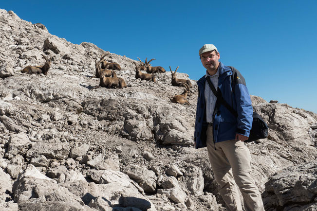 Die Steinböcke (links im Bild 😉 ) im Allgäu waren nur 6-8 Meter entfernt. Cool!