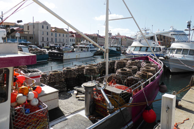 Cray-fishing boats in Victoria Dock with Hunter Street buildings