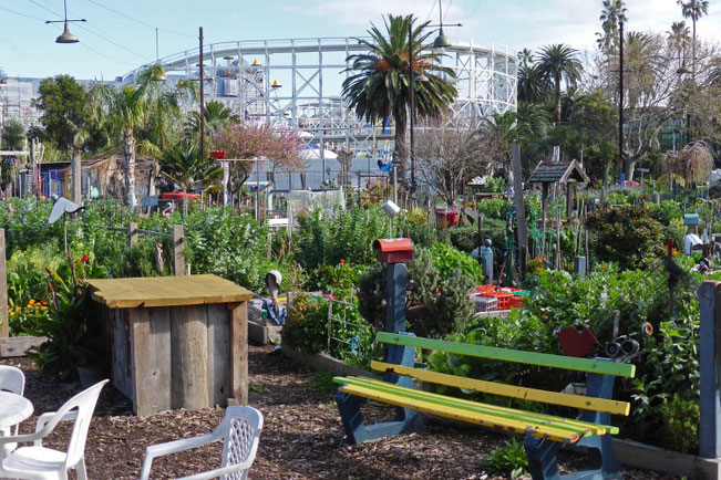 Veg Out Community Gardens