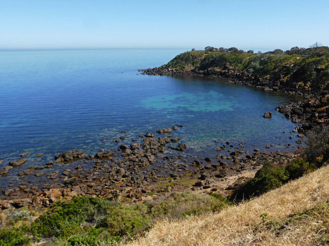 Mornington headland