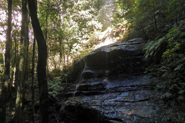 Witches Leap Falls face in the rocks
