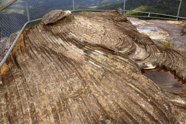 The rock platform at Tarpeian Rock Lookout