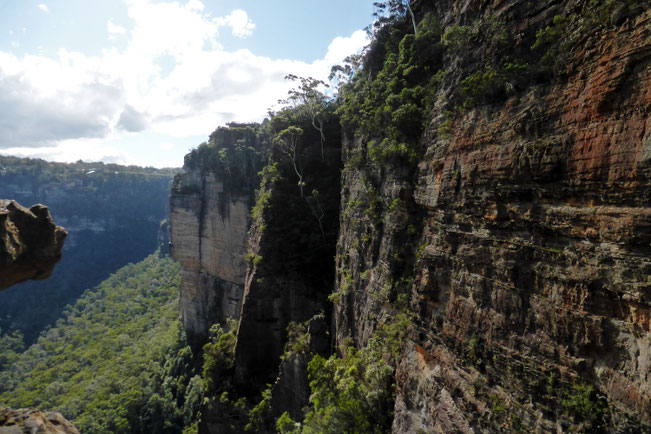 Sandstone cliffs in the Blue Mountains