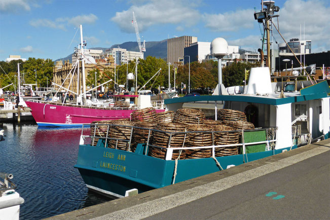 Cray-fishing boats in Victoria Dock