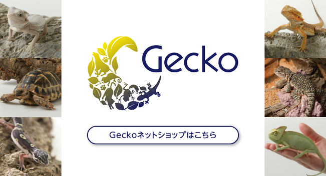 Gecko_帯広_ネットショップ