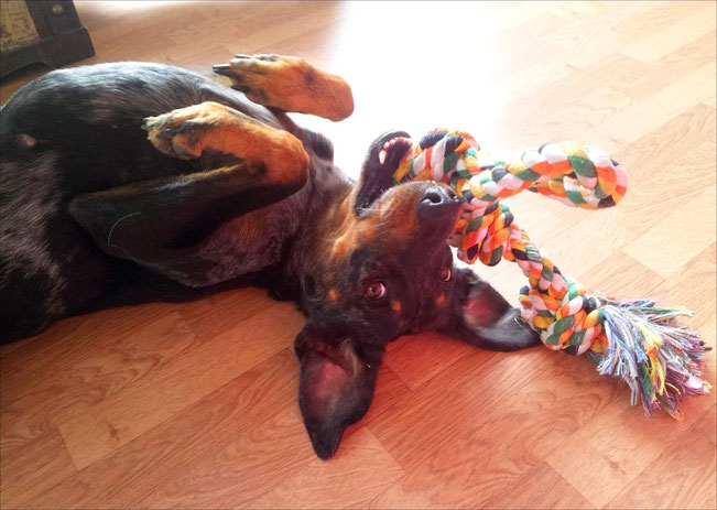 Photo de Draka