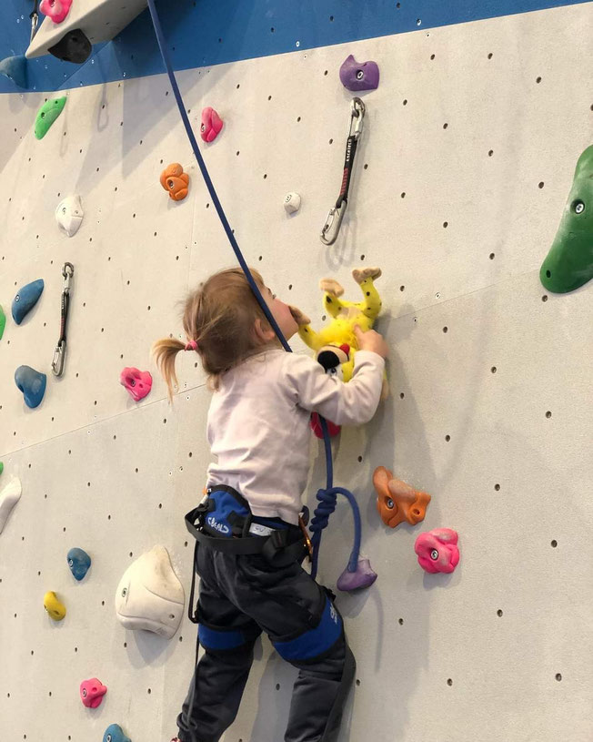 Le Baby Escalade Site de gregamvertical