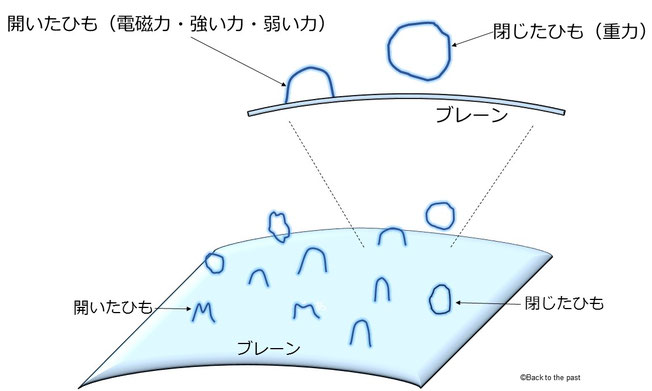 「開いたひも」と「閉じたひも」