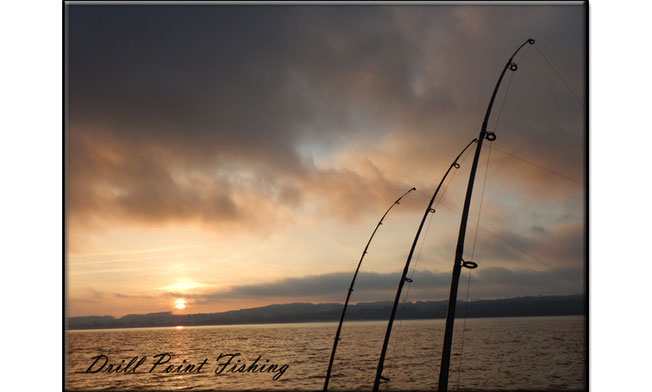Drill Point Fishing Onlineshop - Unterkategorie Titelbild - Angebote Bootangelruten und Schleppangelruten, Schleppfischen, Schleppangeln, Trolling