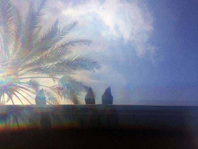 apollo-artemis, fashion, design, sustainable, handmade, photo, travel, israel, inspiration, rainbow, refraction, birds, sky, palm tree