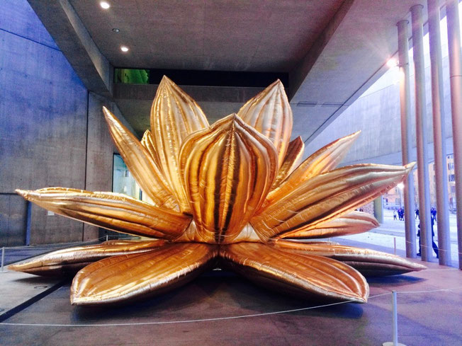 Museo MAXXI, Transformers exhibition. Breathing flower by Choi Jeong-Hwa, 2015. Photo ©Alessia Paionni