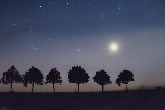 venus in der blutmondnacht | visovio 092015 | ascheberg #venus #nachthimmel #baumallee #planet #sternschnuppe #nebel #mofi2015