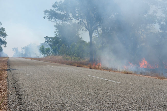Buschfeuer, Kakadu Nationalpark, Northern Territory, Australien