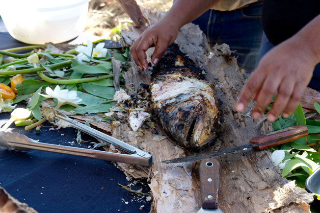 Barramundi, Taste of Kakadu Food Festival, Northern Territory Australien