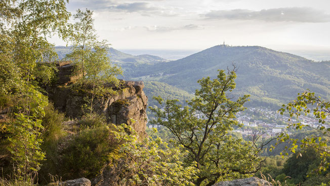 Overview of Baden-Baden © Baden-Baden.com