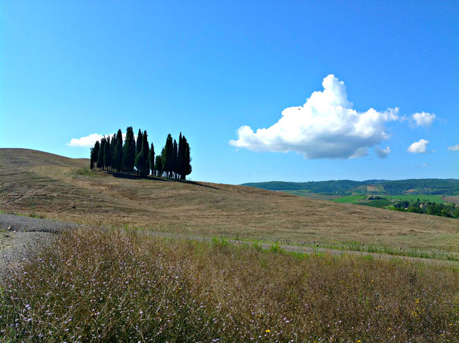 Poggio Grande Val d'Orcia Unesco. Itinerari di vino. Foto Blog Etesiaca