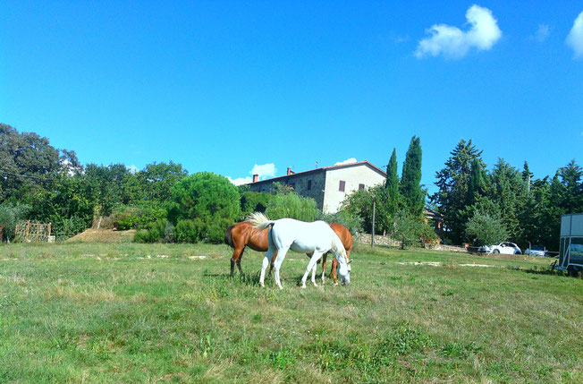 Poggio Grande Val d'Orcia Unesco. Itinerari di vino. Foto Blog Etesiaca