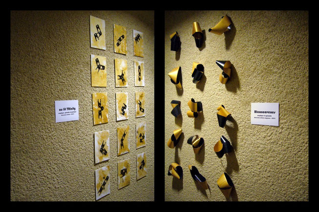 "Au lit TRInity" & "BIconcavexes" - 2011 - Maison de la Gibauderie de POITIERS (86)