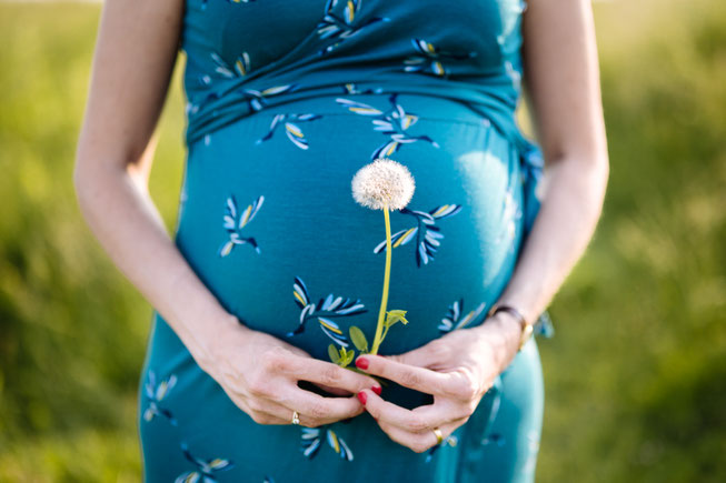 Werdende Mutter hält eine Pusteblume vor ihren Babybauch.