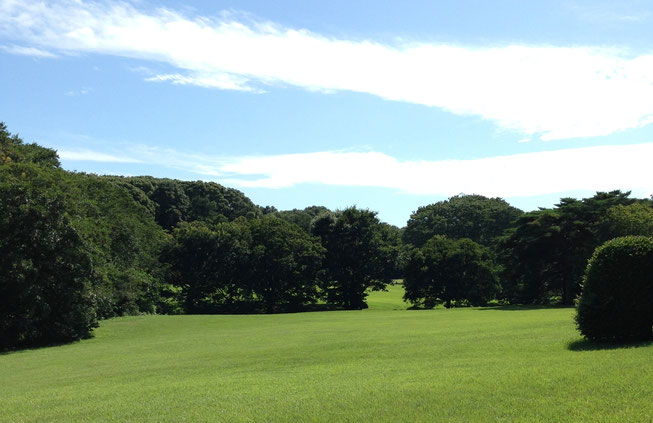 綺麗な青空と公園の緑