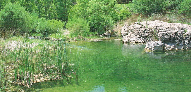 Río Bergantes en la provincia de Castellón, en la Comunidad Valenciana. España.