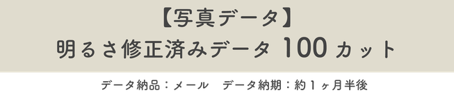 【写真データ】100カット※修正済みデータ　データ納品：メール　データ納期：約1ヶ月半後