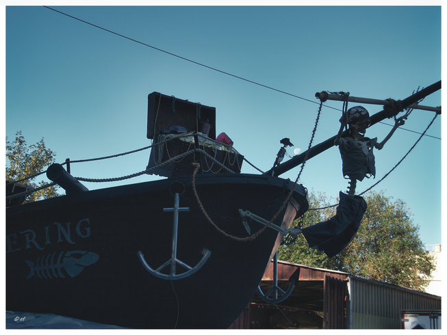 Der Bug des Piraten "Heringsschiffes"